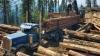Idaho partners with USFS with goal to double timber sales