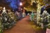Which central Alabama city has the best Christmas display? Vote for your favorite