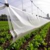 Innovative Multi-Layer Film Boosts Sustainable Agriculture
