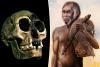 Scientists discover how real-life ‘hobbits’ went extinct — and why modern humans are at fault: study