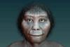 Modern humans unfairly blamed for extinction of Indonesia’s ‘hobbits’, scientists say