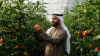 Abu Dhabi Registration Authority (ADRA) records 29% increase in agricultural licences issued from January-September 2025