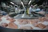 Embargo over: Brazilian poultry back on China’s menu
