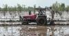 Floods have wreaked agricultural disaster on both sides of the Punjab border