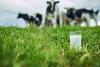 Agriland and National Dairy Council to launch 'Farmer Ambassador' series
