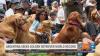 Argentina seeks to break Golden Retriever world record