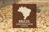 Brazil Coffee Report: Robusta Filling In for Lower Expected Arabica Output