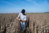 Trump Pledges Relief for Farmers, But U.S. Agriculture Faces Multiple Challenges