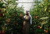 Abu Dhabi Agricultural Licenses Rise 29 Percent Amid Sector Expansion