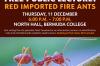 Public Reminded of Free Fire Ant Information Session at Bermuda College on 11 December