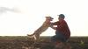 Screwworm reaches Arizona as cases spread across Southwest