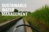 FAO Mission Concludes After Advancing Climate-Smart Agriculture and Water Management in Antigua and Barbuda