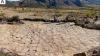 Dinosaur superhighway discovered in ancient Bolivian shoreline