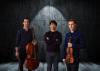 Distinguished trio makes its Cyprus debut