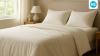 What are Egyptian cotton bed sheets? Why are these a must-have for your home