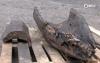 Fragment of 2,000-year-old wooden boat found in Estonian lake