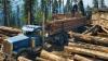 Idaho partners with U.S. Forest Service with goal to double timber sales