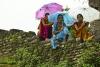 Why Women’s Leadership Strengthens Disaster Resilience and Environmental Stewardship