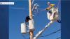 Have You Seen This? Arizona lineman coaxes bear from atop utility pole