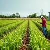 Big Data and Smart Agriculture Drive Rural Revitalization