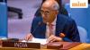 At UNSC, India condemns civilian killings by Pakistan in Afghanistan, pushes for calibrated Taliban engagement | Watch