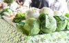 Botswana reinstates vegetable import ban from South Africa