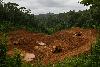 Indonesia Forest Mining Regulation: Heavier Fines Against Illegal Operations