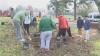 Donation of 30 trees to Arkansas School for the Deaf and Blind marked by ceremony, planting