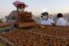 Saudi food self-sufficiency rates surge significantly in 2024
