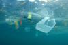 University of Illinois study reveals how global plastic waste trade contributes to coastal litter