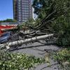 Cyclone causes blackout, flight chaos in Brazil's Sao Paulo