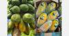 Europe wants more Brazilian papaya, but MRLs limit the amount of fruit that can be exported