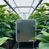 Optimizing Tobacco Curing with Biomass Burner Innovation