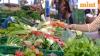 Retail inflation inches up to 0.71% in November as food deflation narrows
