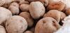 Ministry of Agriculture provides free white potato seeds to farmers for upcoming season