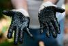 Ecuador Ordered to Pay Amazon-Polluting Chevron $220 Million