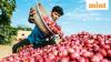 Centre rolls back use of revamped agriculture trading portal in most Rajasthan <i>mandis</i>