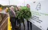 Dublin first city in the world to trial artificial Christmas tree recycling