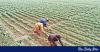 Agri credit overdue surges 88% in Sep