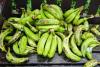 West Sussex shipping containers: Can you get fined £2,500 for picking up washed-up avocados and bananas?