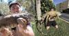 The "Cuban Tarzan" who catches giant iguanas in Florida