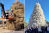 Christmas in this Arizona town comes with tumbleweeds — not evergreens: ‘We are extremely proud of our tree’