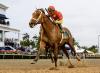Sidelined Since Defeating Sovereignty in Florida Derby, Tappan Street Returns at Gulfstream Friday