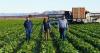 Regents grants $3M for Yuma Hub for Agriculture Innovation