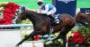 Sosie sparkles with Hong Kong Vase victory