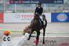 Indonesia wins dressage silver at SEA Games in Thailand