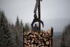 Maine loggers are used to hard times. Then came the tariffs.
