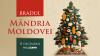 GIFT EXPO-2025 Exhibition: Moldexpo to host Moldova's only Christmas tree adorned by local producers