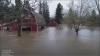 60 years of farming, biggest flood ever: Carnation strawberry farm feet underwater