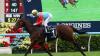 Kiwi superstars strike gold at Hong Kong’s richest raceday